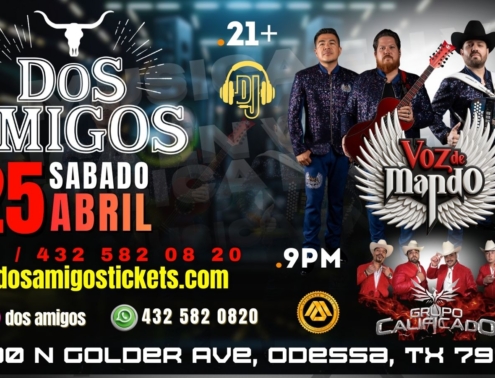 VOZ DE MANDO PORTADA